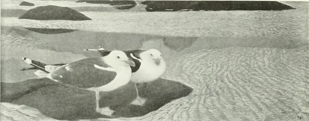 An illustration from Studio international, 1893, leaf 133