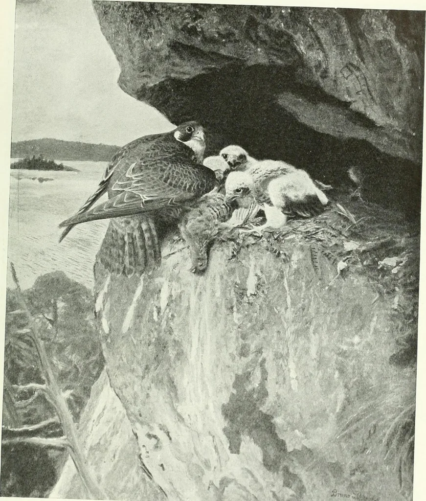An illustration from Studio international, 1893, leaf 134