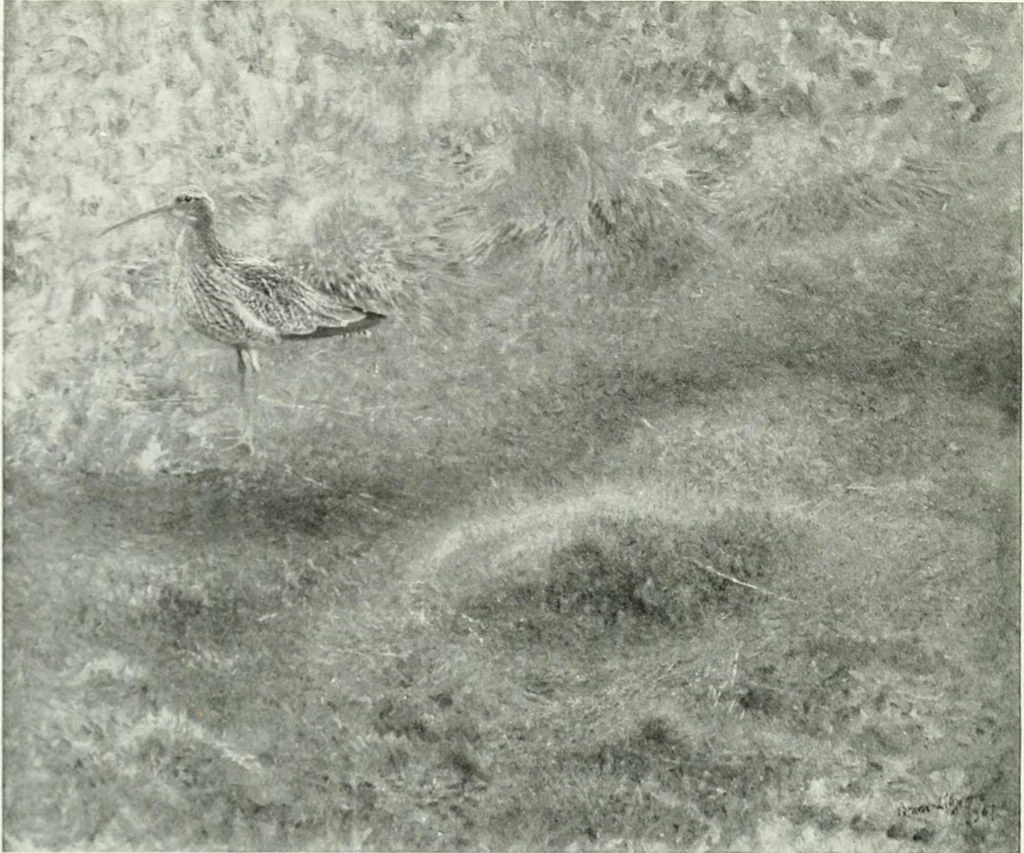 An illustration from Studio international, 1893, leaf 135