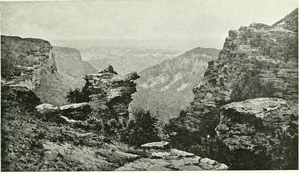 An illustration from Studio international, 1893, leaf 148
