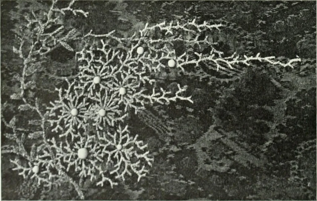 An illustration from Studio international, 1893, leaf 169