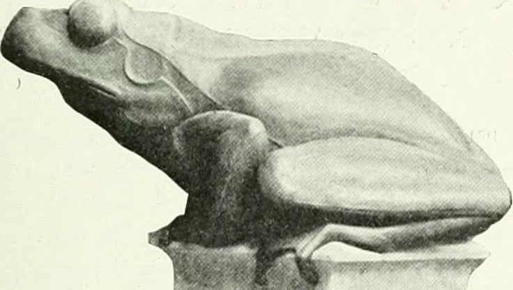 An illustration from Studio international, 1893, leaf 278