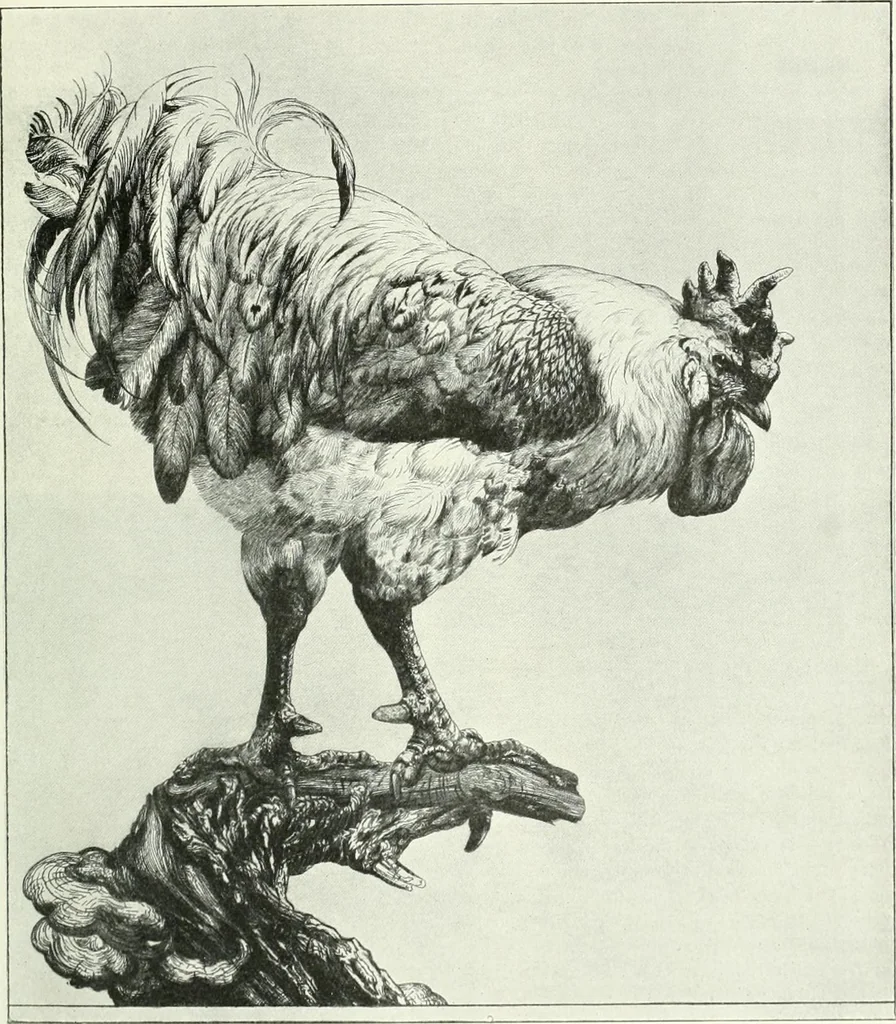 An illustration from Studio international, 1893, leaf 300