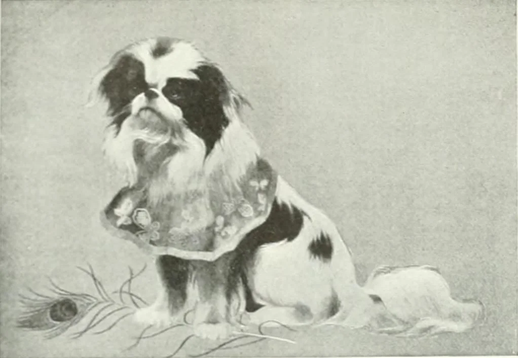 An illustration from Studio international, 1893, leaf 53