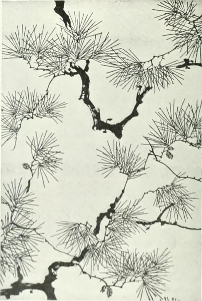 An illustration from Studio international, 1893, leaf 57