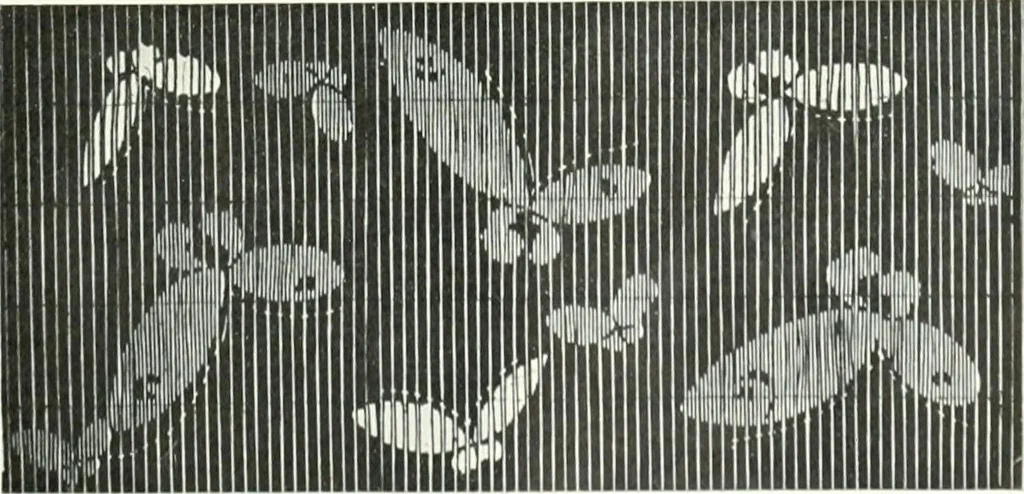 An illustration from Studio international, 1893, leaf 60