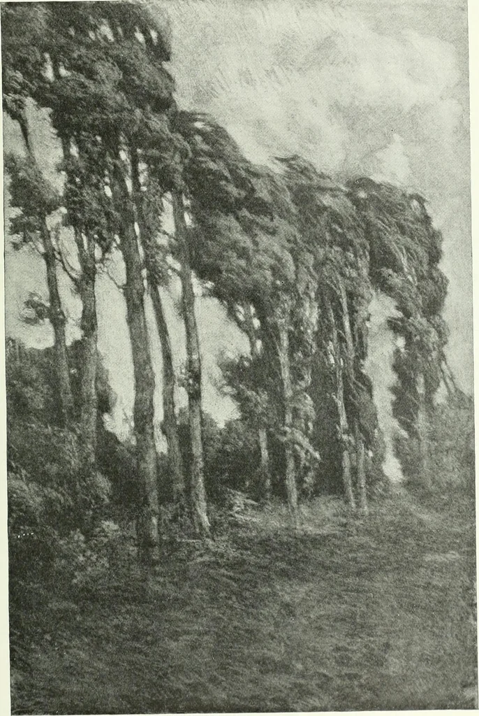 An illustration from Studio international, 1893, leaf 78