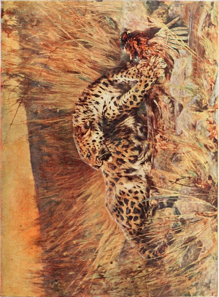 An illustration from Studio international, 1893, leaf 204
