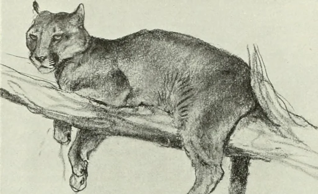 An illustration from Studio international, 1893, leaf 207