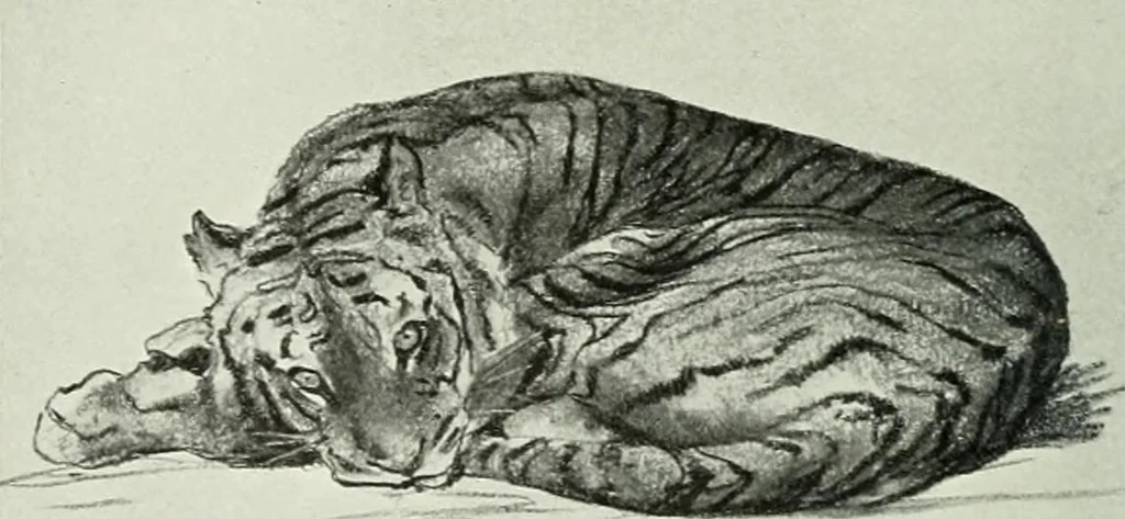 An illustration from Studio international, 1893, leaf 207