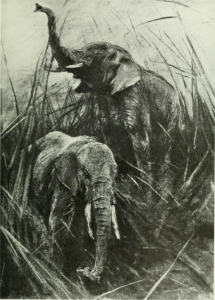 An illustration from Studio international, 1893, leaf 208