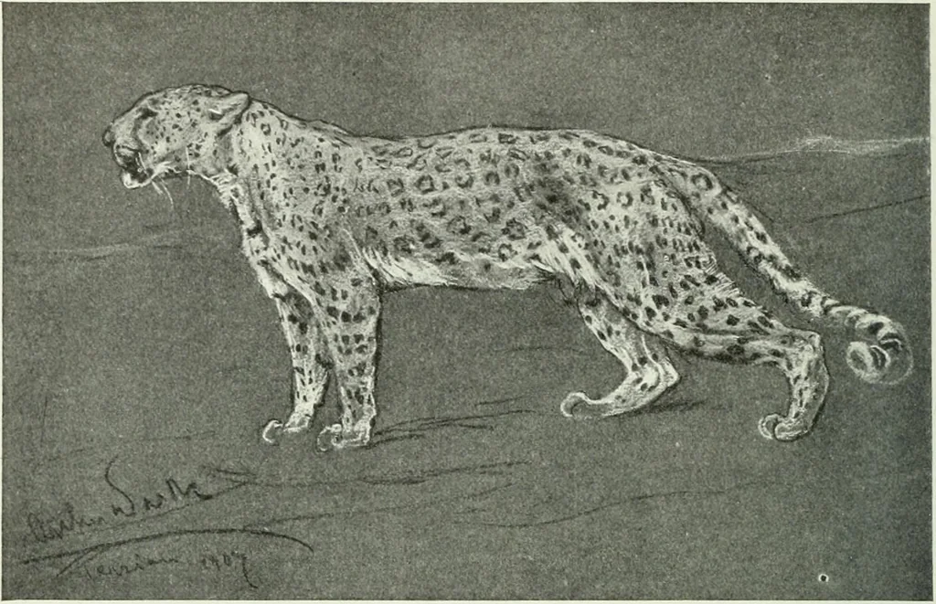 An illustration from Studio international, 1893, leaf 209