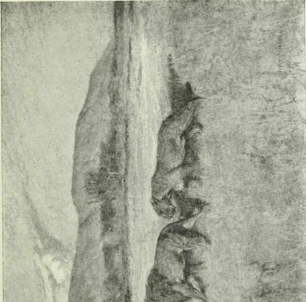 An illustration from Studio international, 1893, leaf 212