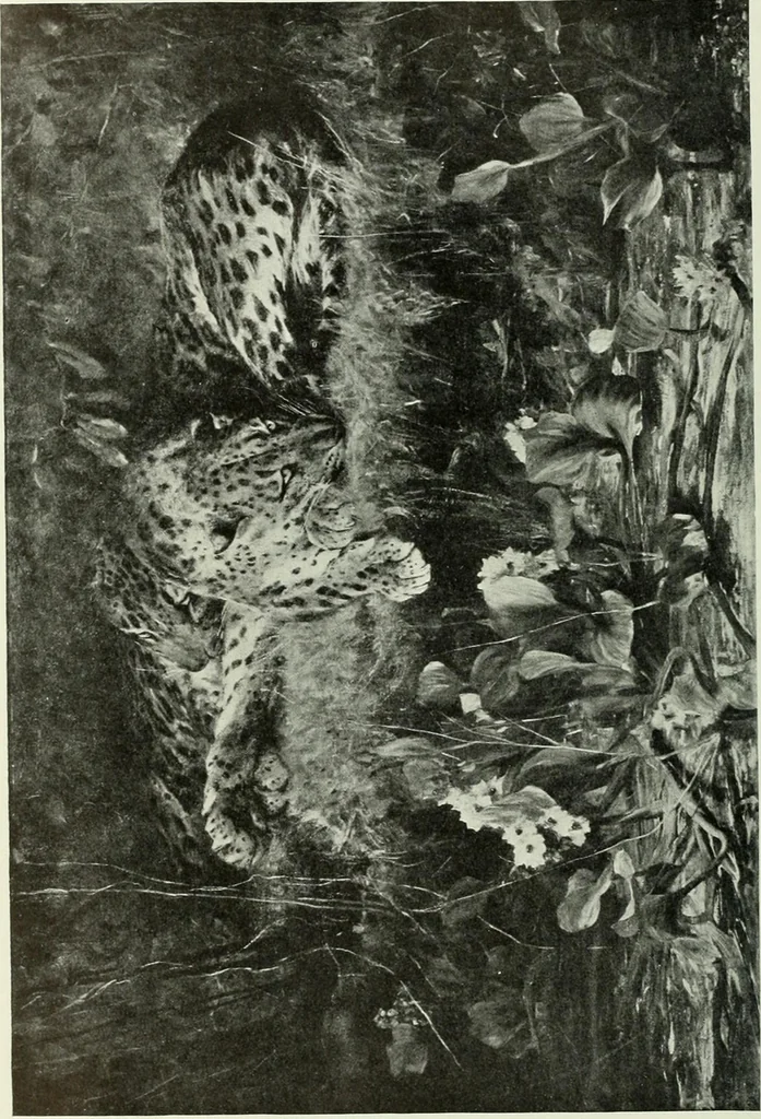 An illustration from Studio international, 1893, leaf 213