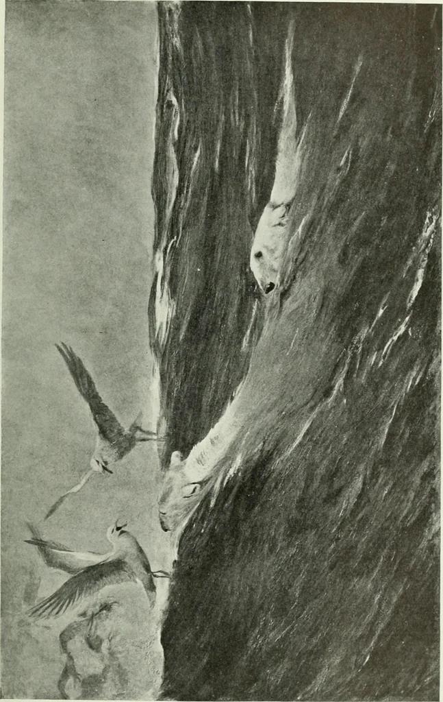 An illustration from Studio international, 1893, leaf 214