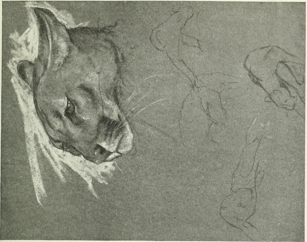 An illustration from Studio international, 1893, leaf 218
