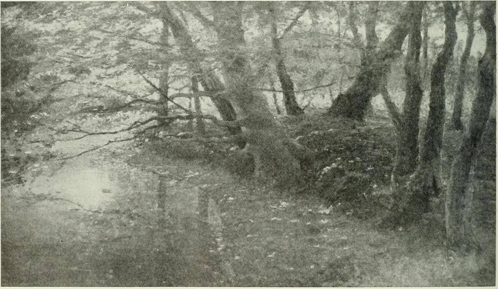 An illustration from Studio international, 1893, leaf 241