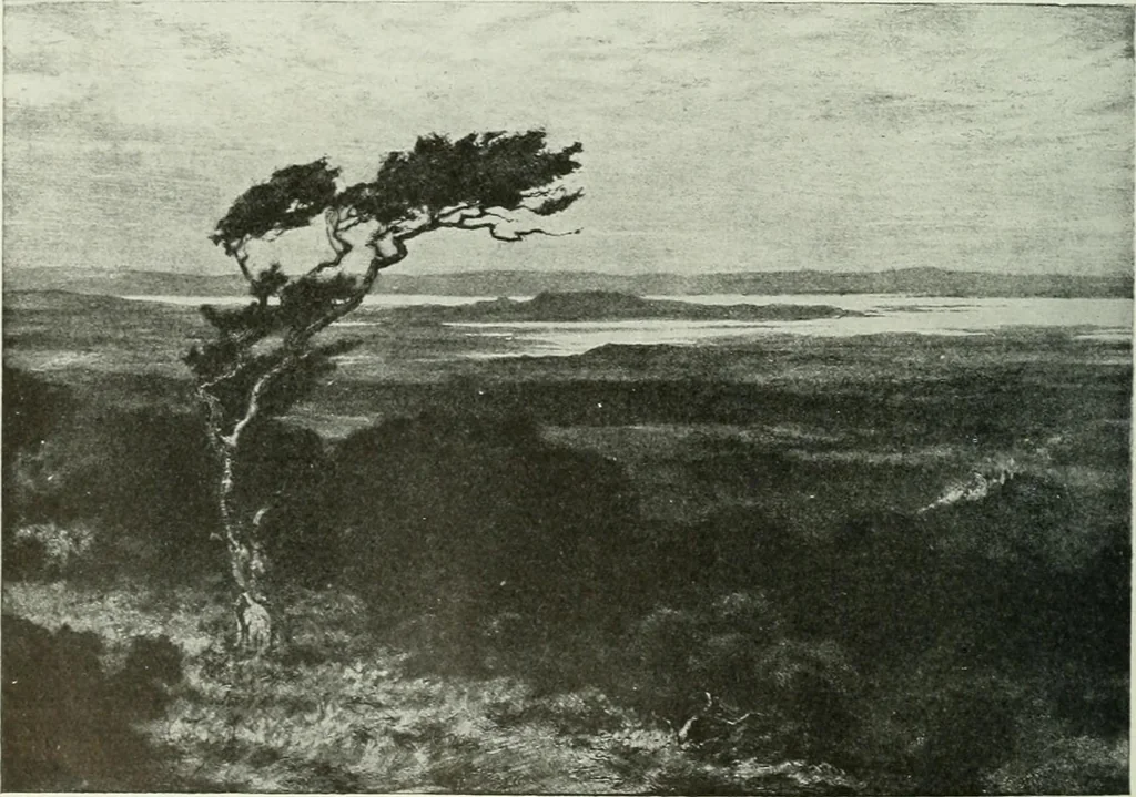An illustration from Studio international, 1893, leaf 289