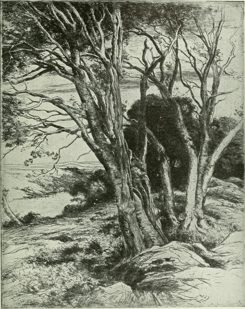 An illustration from Studio international, 1893, leaf 296