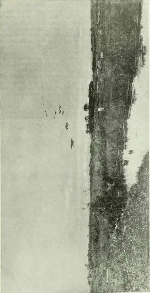 An illustration from Studio international, 1893, leaf 322