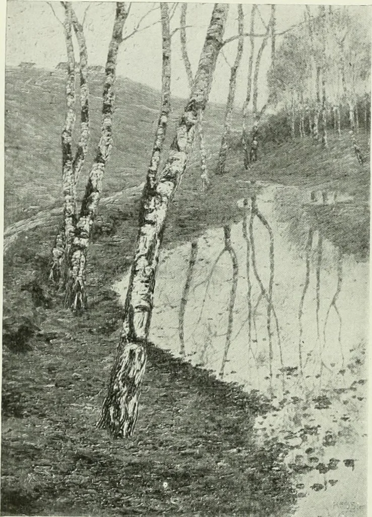 An illustration from Studio international, 1893, leaf 337