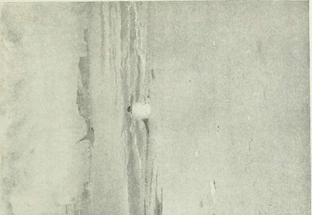 An illustration from Studio international, 1893, leaf 48