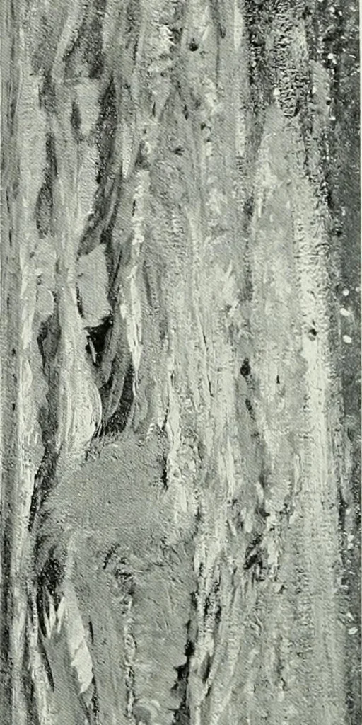 An illustration from Studio international, 1893, leaf 131