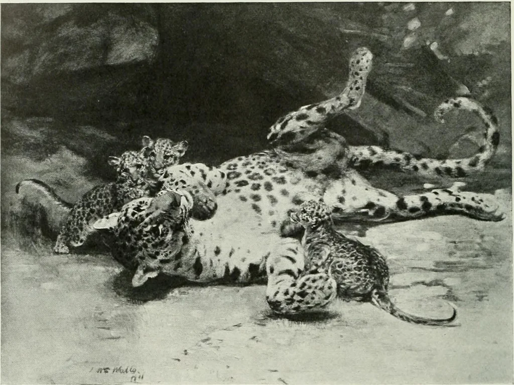 An illustration from Studio international, 1893, leaf 155
