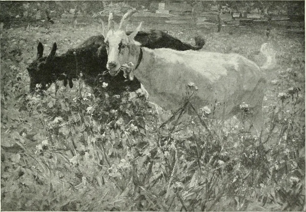 An illustration from Studio international, 1893, leaf 166