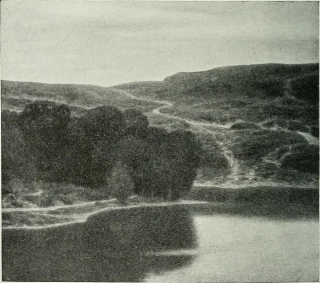 An illustration from Studio international, 1893, leaf 193