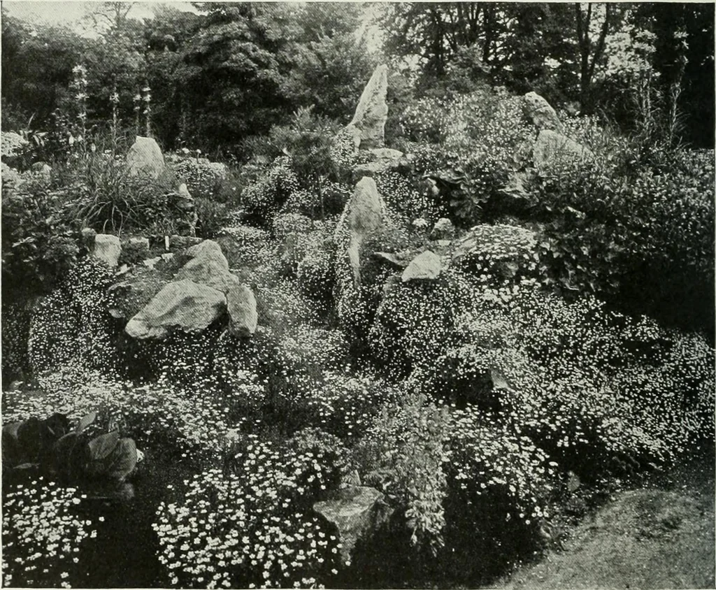 An illustration from Studio international, 1893, leaf 215