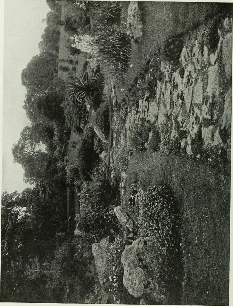 An illustration from Studio international, 1893, leaf 217