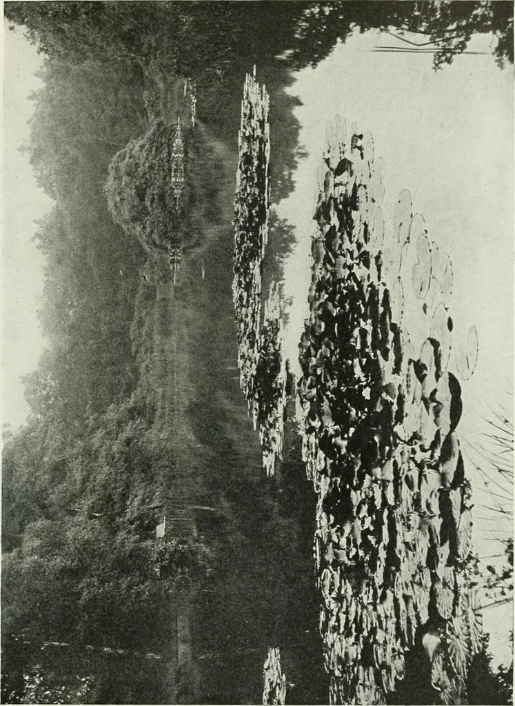 An illustration from Studio international, 1893, leaf 218