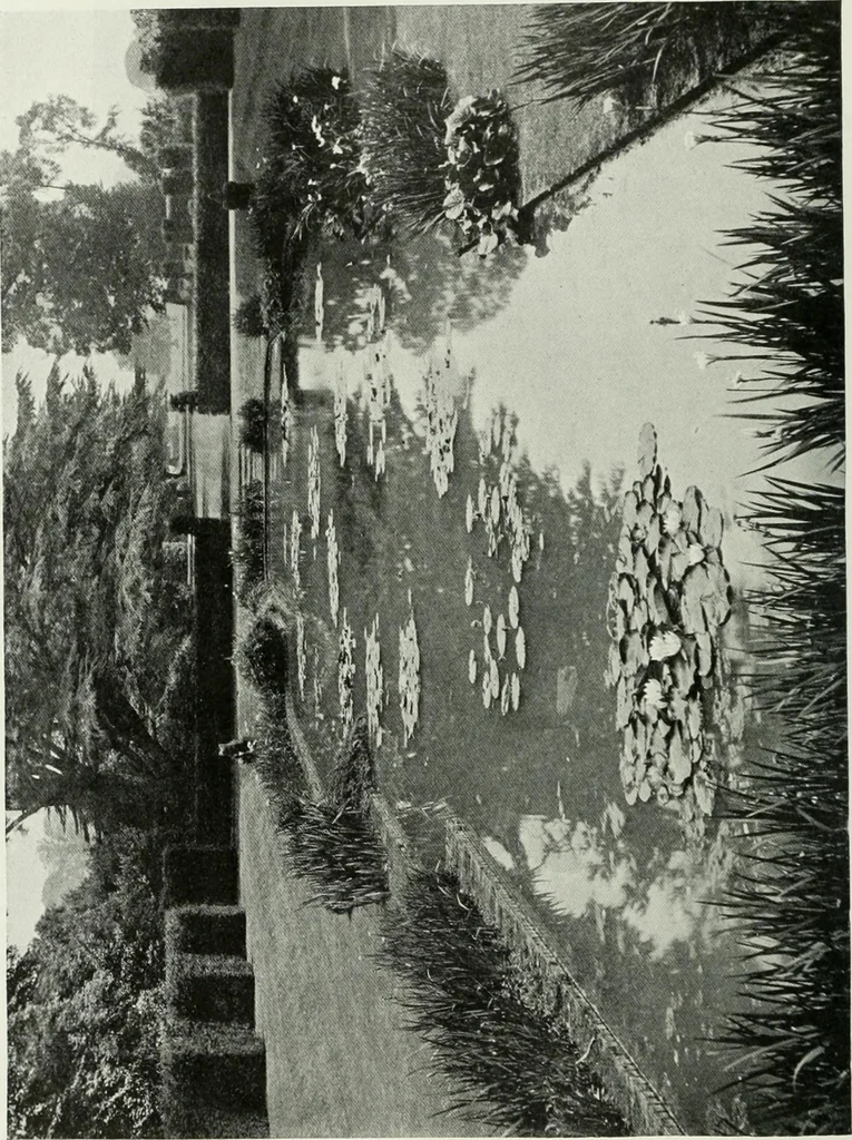 An illustration from Studio international, 1893, leaf 219