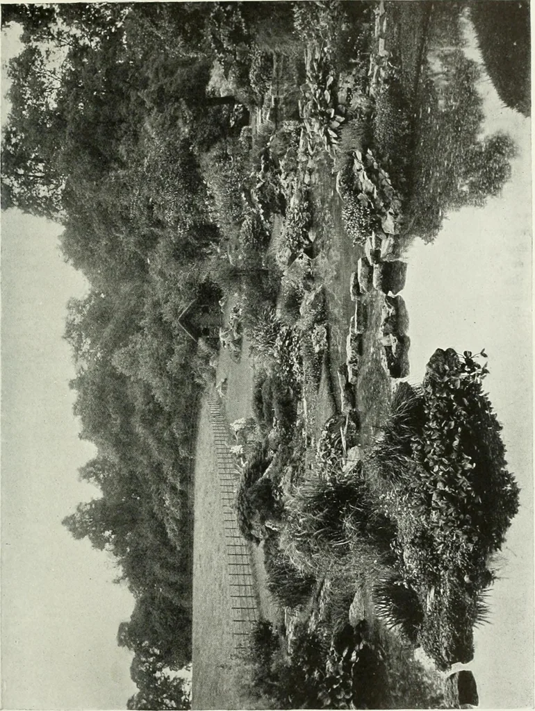 An illustration from Studio international, 1893, leaf 220