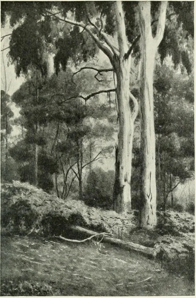 An illustration from Studio international, 1893, leaf 260