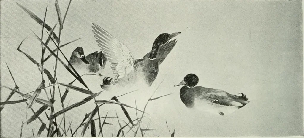 An illustration from Studio international, 1893, leaf 283