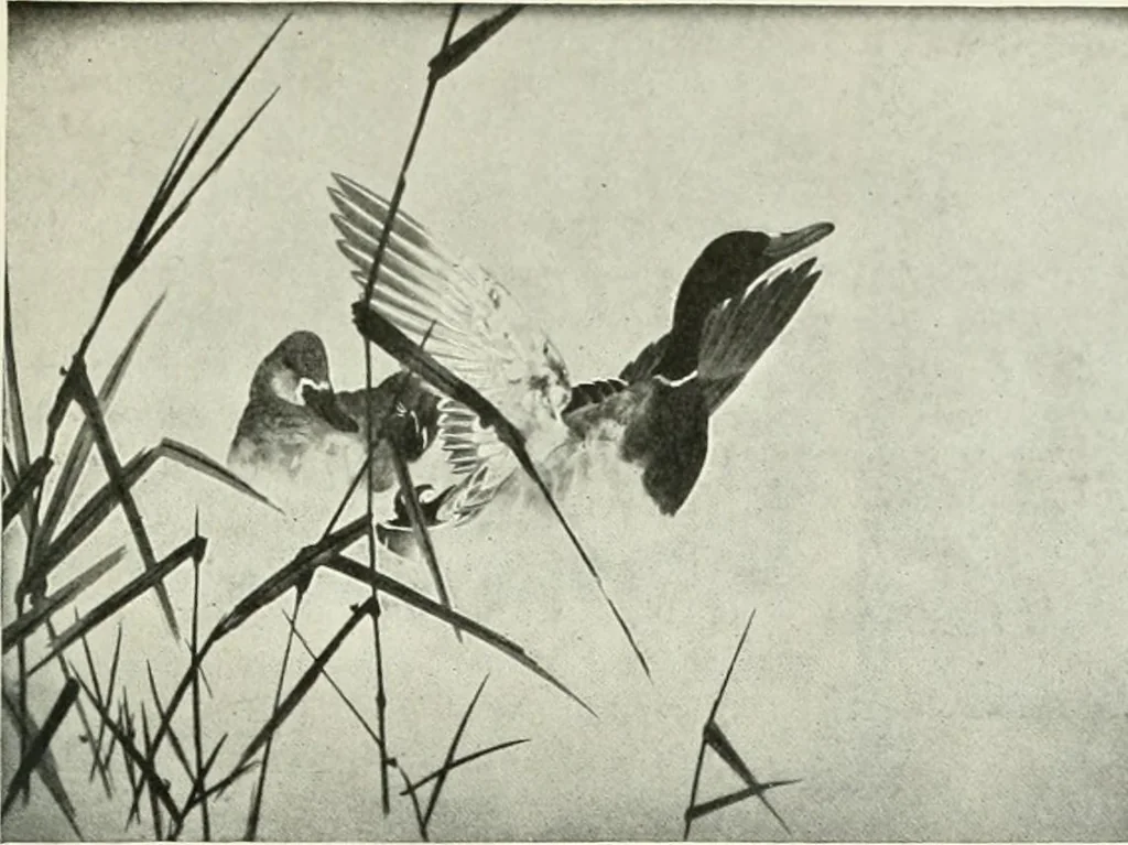 An illustration from Studio international, 1893, leaf 286