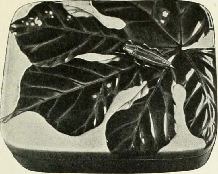 An illustration from Studio international, 1893, leaf 288