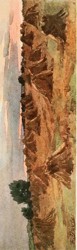 An illustration from Studio international, 1893, leaf 314