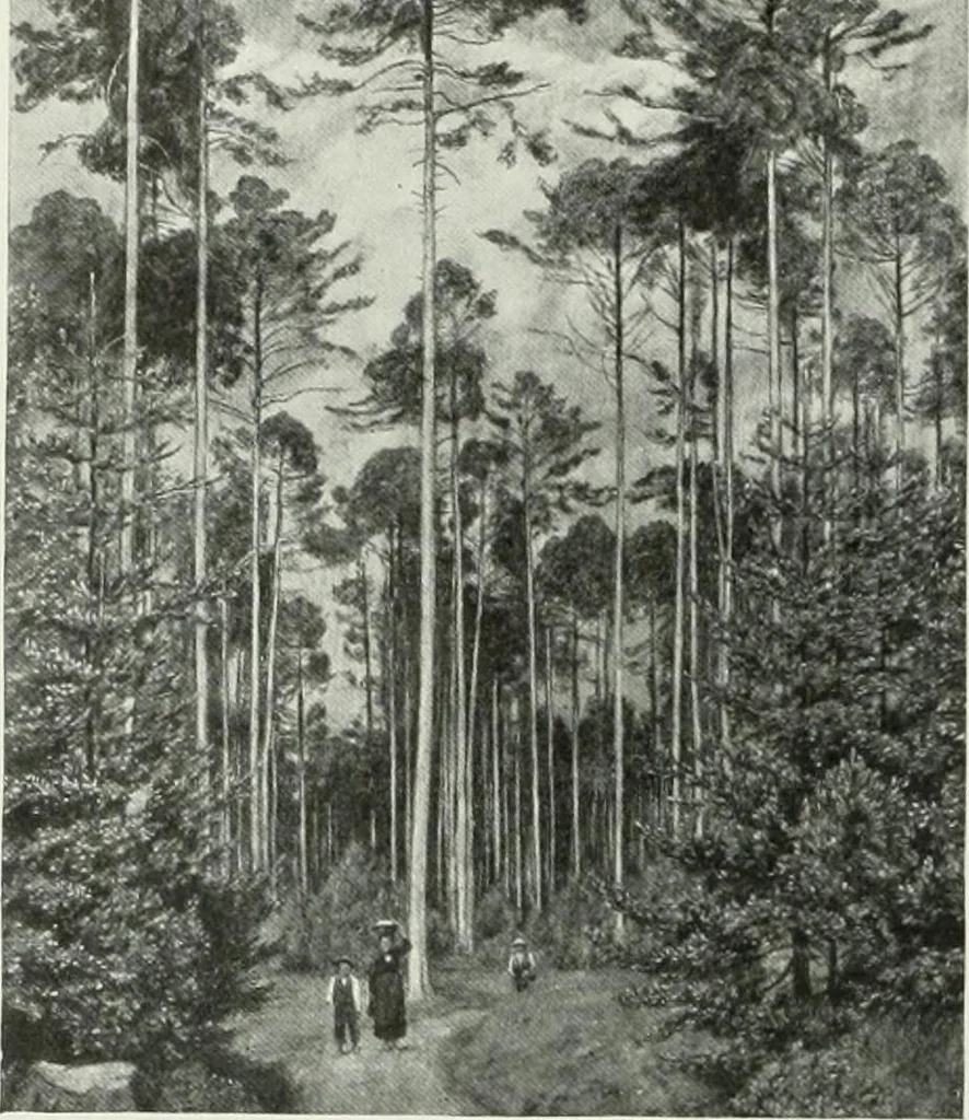 An illustration from Studio international, 1893, leaf 333