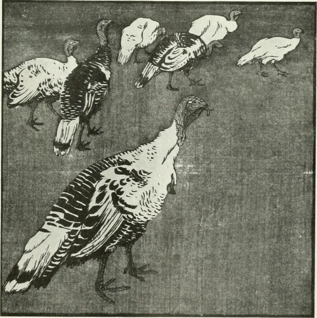 An illustration from Studio international, 1893, leaf 56