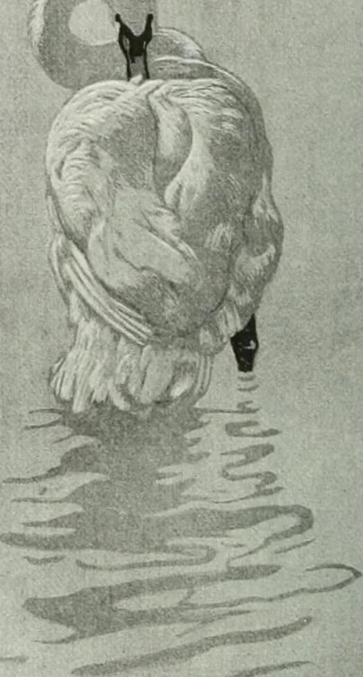 An illustration from Studio international, 1893, leaf 57