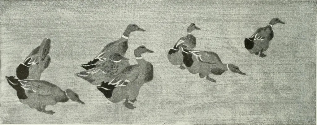 An illustration from Studio international, 1893, leaf 57