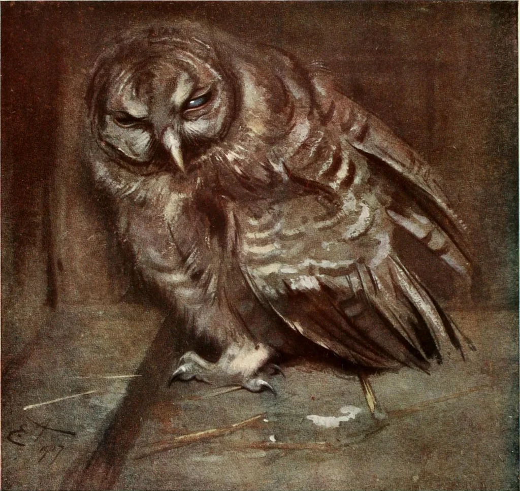 An illustration from Studio international, 1893, leaf 93