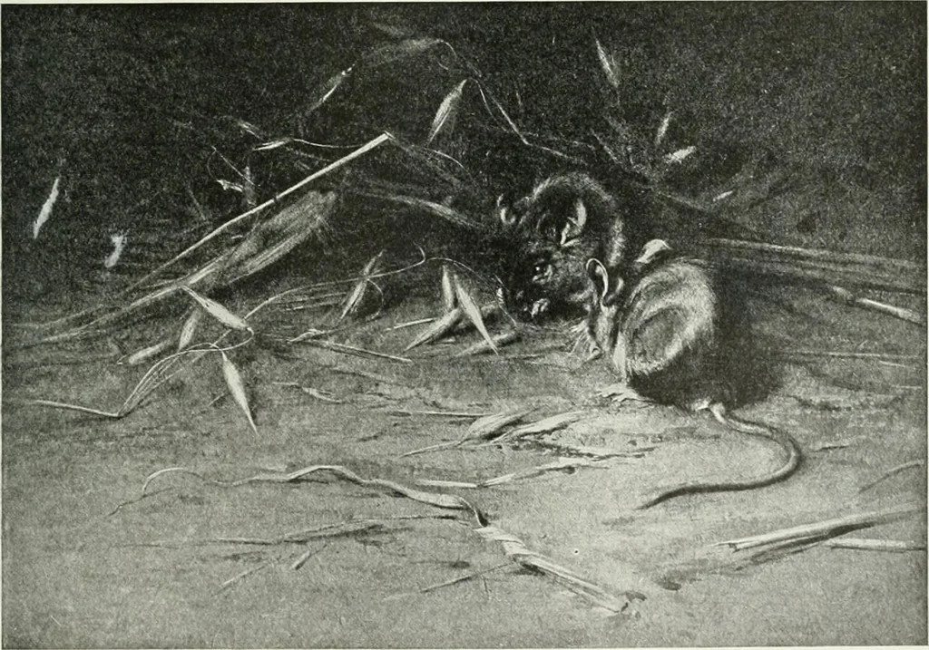 An illustration from Studio international, 1893, leaf 94