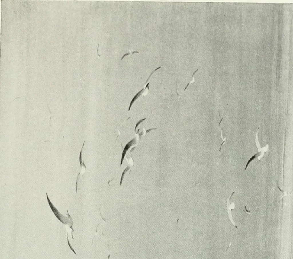 An illustration from Studio international, 1893, leaf 96