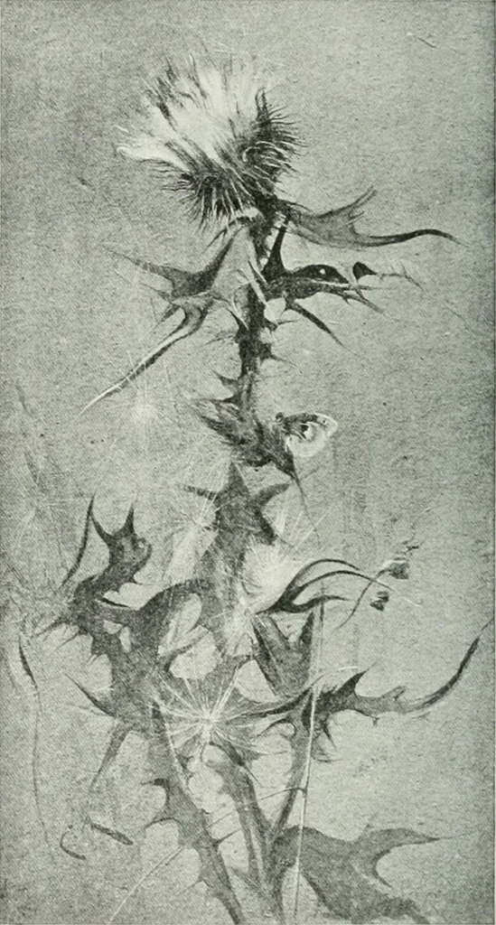 An illustration from Studio international, 1893, leaf 97