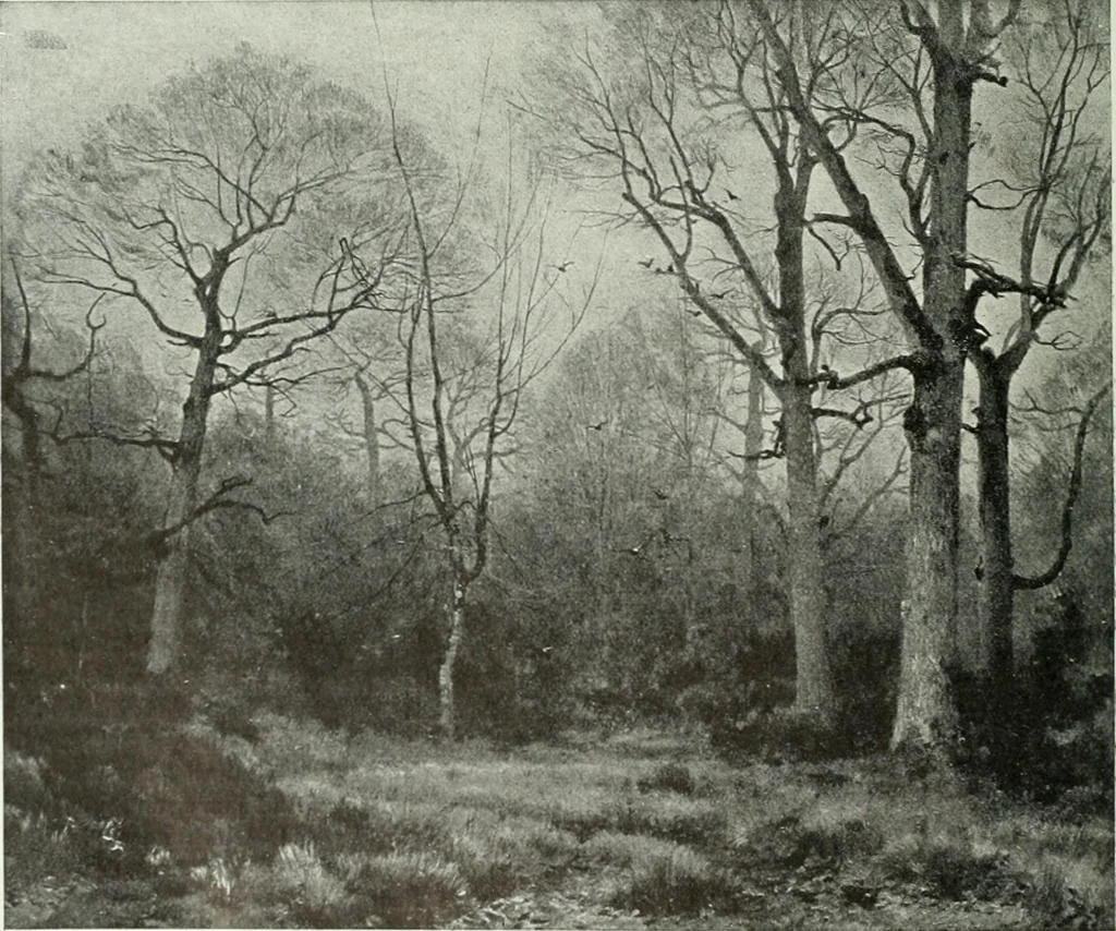 An illustration from Studio international, 1893, leaf 117