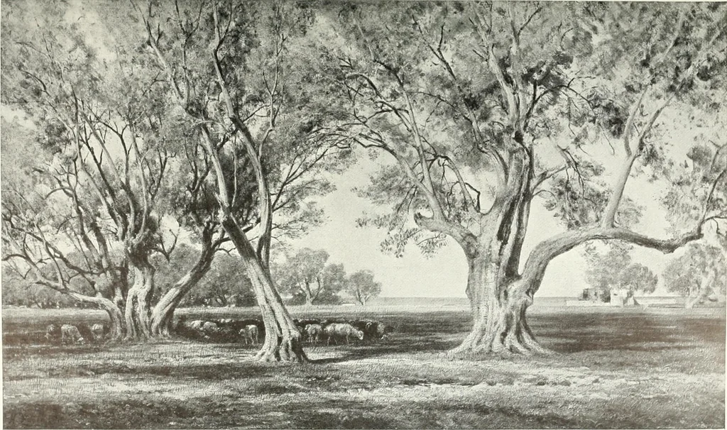 An illustration from Studio international, 1893, leaf 118